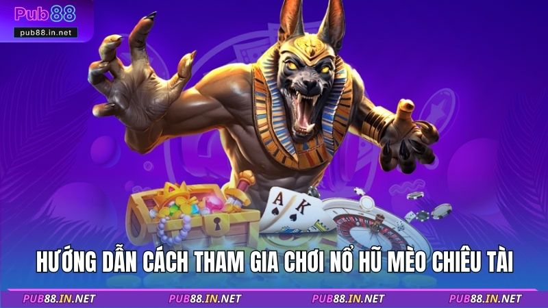 Hướng dẫn cách tham gia chơi nổ hũ mèo chiêu tài
