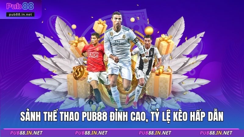 Sảnh thể thao PUB88 đỉnh cao, tỷ lệ kèo hấp dẫn