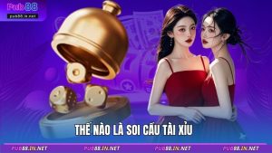 Thế nào là soi cầu tài xỉu